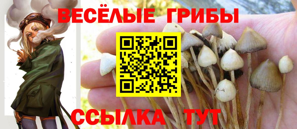 Ленинск-Кузнецкий  Галлюциногенные грибы мухоморы  Вход с VPN  Псилоцибиновые грибы ЛСД 